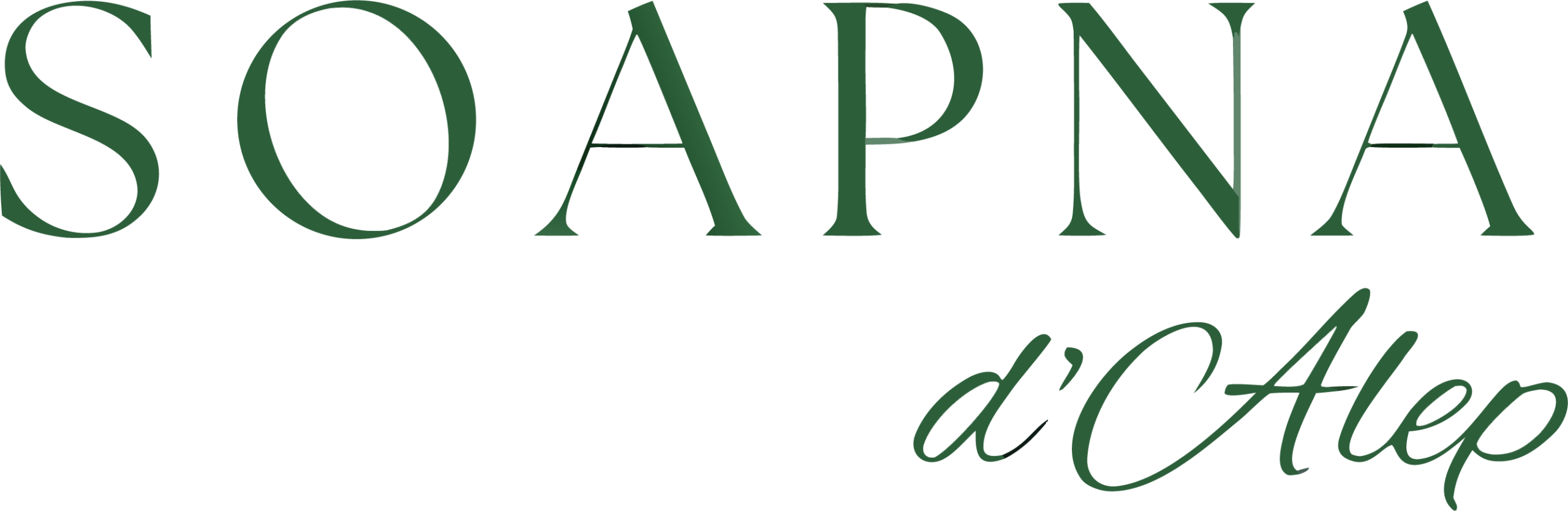 Aleppo Soap